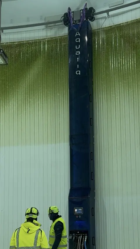 Clean Tanq þvottaróbótinn fyrir landeldisker.